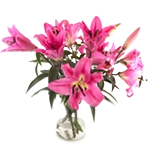 Gift & Flowers